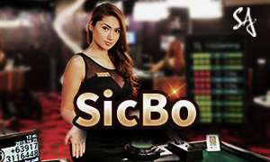 888bets x game cassino Jogue online